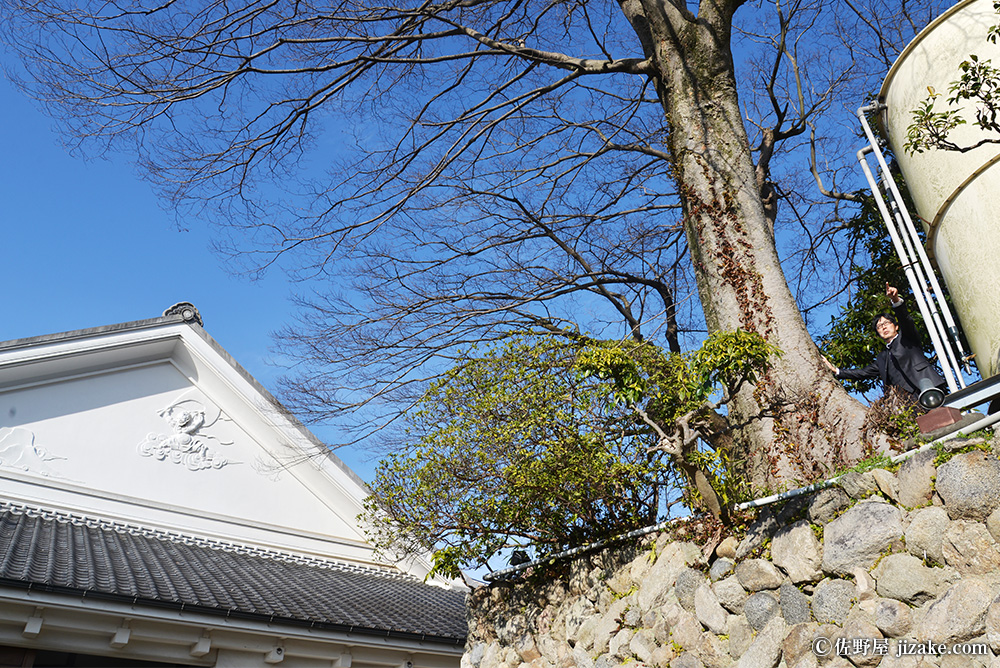 天吹酒造（あまぶきしゅぞう）