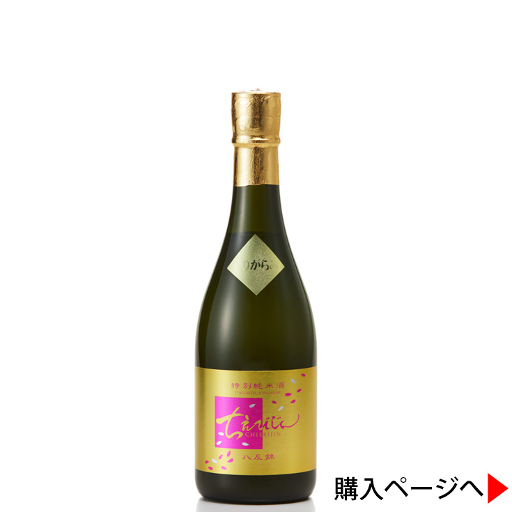 【直接引取り限定】チェロ（no label) 8月末迄 期間限定値下げ中 音楽文化・速報】 チェロと朗読のひととき ～ セロ弾きのゴーシュ