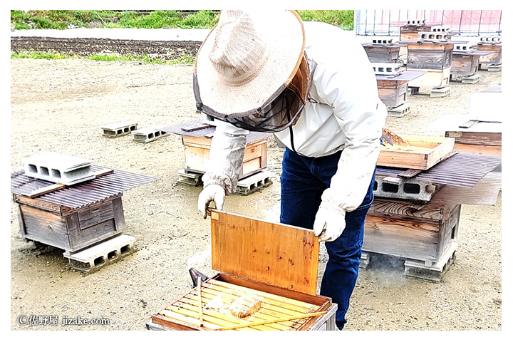 蜜輪（みつわ）はちみつ