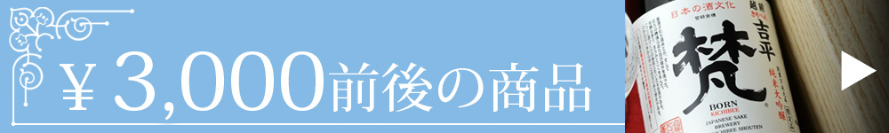 3,000円前後の商品