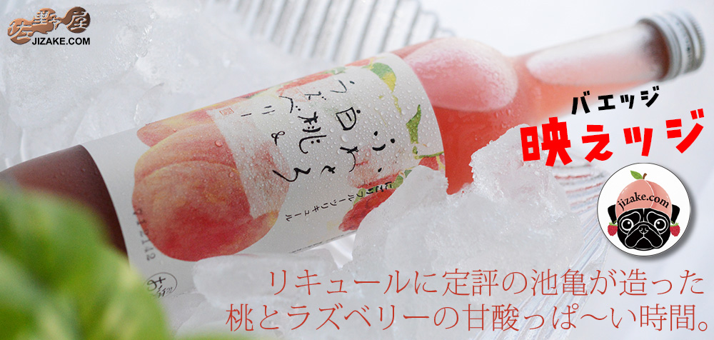  ◇【映えッジ】池亀　ふわとろ白桃&ラズベリー　【ラベルインスパイア缶バッジ付き】　500ml