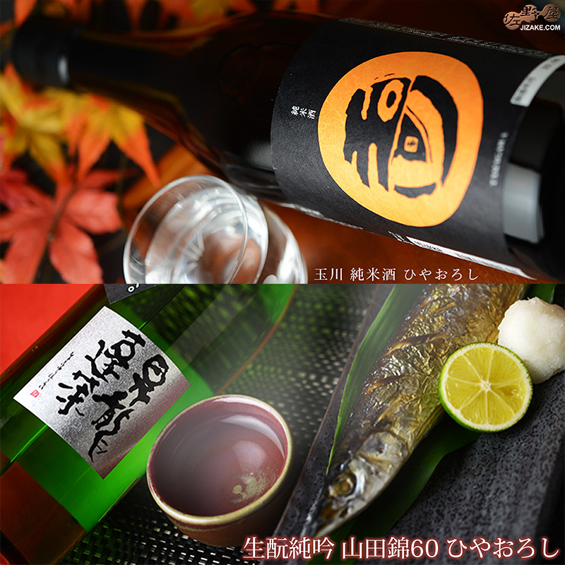 佐野屋　日本酒　定期販売