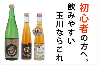 初心者に方へ。　飲みやすい玉川ならこれ　日本酒　木下酒造