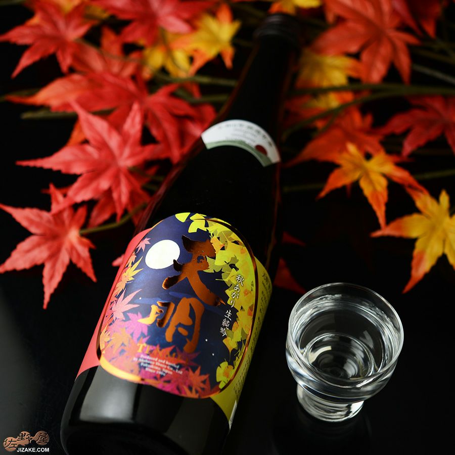 天明　秋あがり50　本生純吟