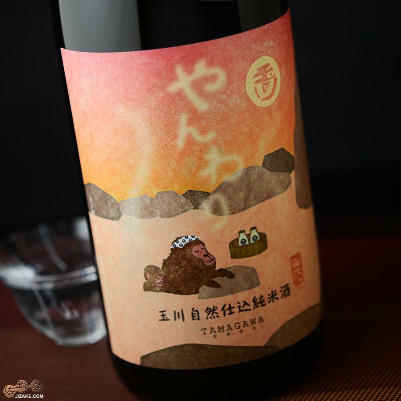 玉川　自然仕込　山廃純米酒　やんわり