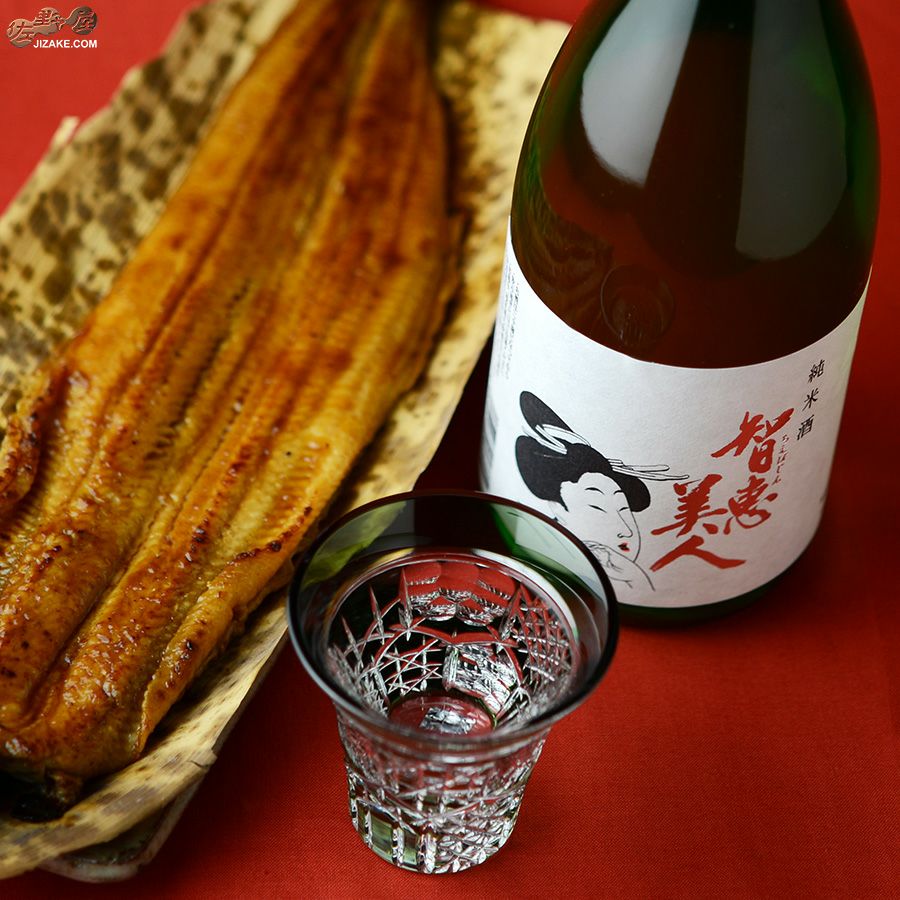 智恵美人　純米酒