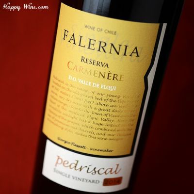 ◎ビーニャ・ファレルニア カルムネール レセルバ ペドリスカル シングル・ヴィンヤード(赤) 750ml