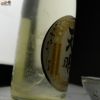 天明　新米新酒　中取り零号　瑞穂黄金65