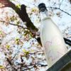 仙禽　さくら(OHANAMI)