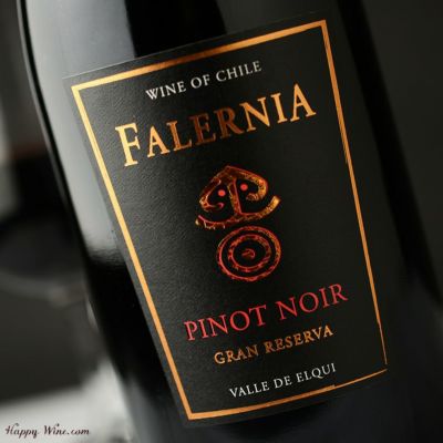 ◎ビーニャ・ファレルニア ピノ・ノワール グラン・レセルバ(赤) 750ml