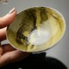 【箱入】二村素美作　杯　深山路