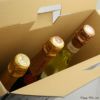  【送料無料】ヨーロッパを旅するスパークリングワイン3本セット　750ml×3本