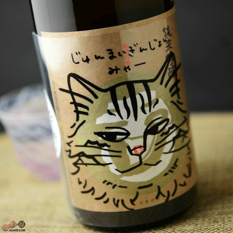 ネコとシャボン玉　市川元晴 ネコとシャボン玉 市川元晴