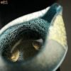 SUN GLASS STUDIO KYOTO  【箱入】風のしらべ　貴船　片口
