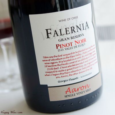 ◎ビーニャ・ファレルニア ピノ・ノワール グラン・レセルバ アーロン ティトン シングル・ヴィンヤード(赤) 750ml