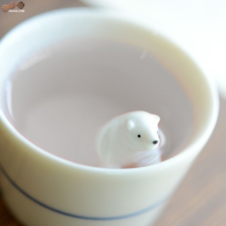 シロクマの熊五郎 白前　こんばんは