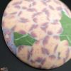 【箱入】高橋由紀子　紫陽花　盃