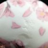 【箱入】高橋由紀子　桜　盃