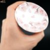 【箱入】高橋由紀子　桜　盃