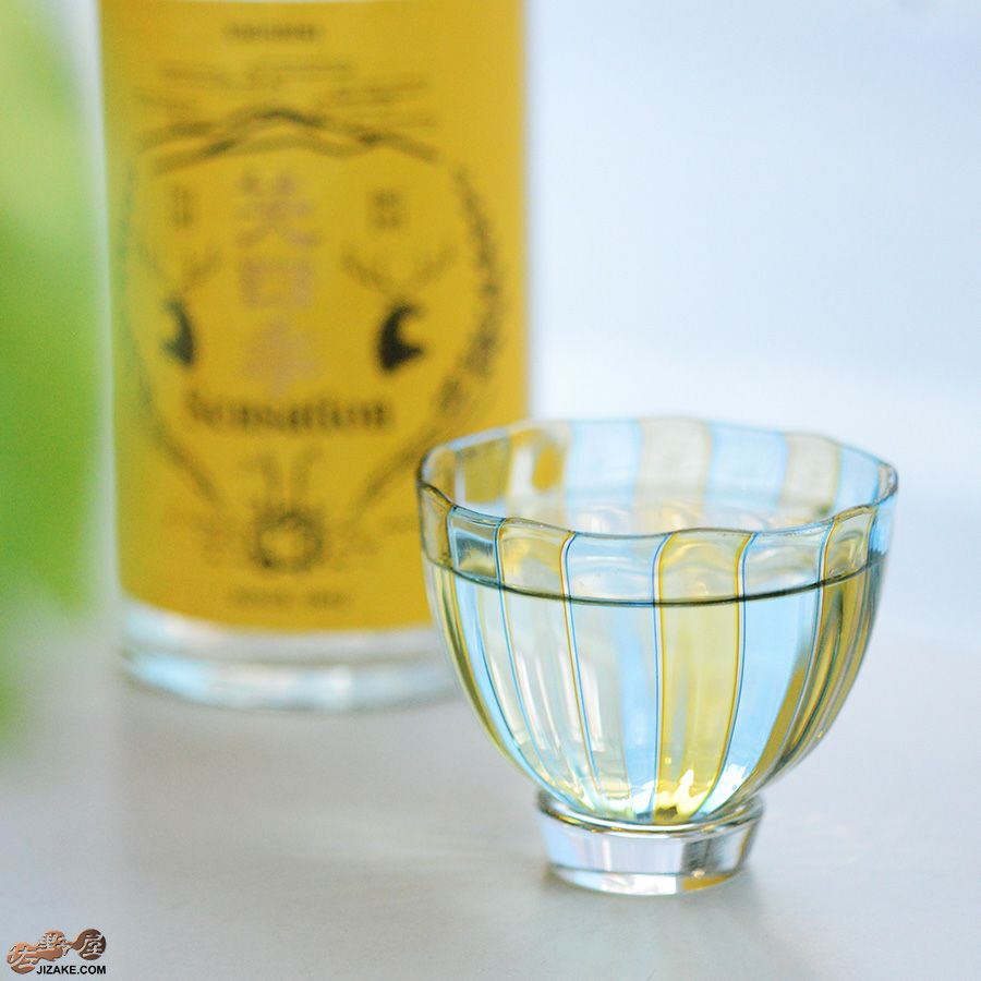 studio iiro スタジオイイロ 大東健太