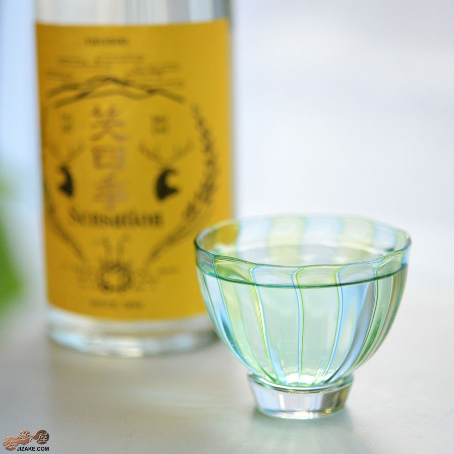 studio iiro スタジオイイロ 大東健太