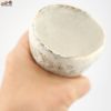 器のしごと|村上直子・白井隆仁 【箱入】器のしごと タヌキ sake cup