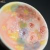 瀬戸焼 【箱入り】野村晃子 花酒器 ぐい呑み