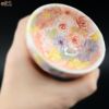 瀬戸焼 【箱入り】野村晃子 花酒器 ぐい呑み