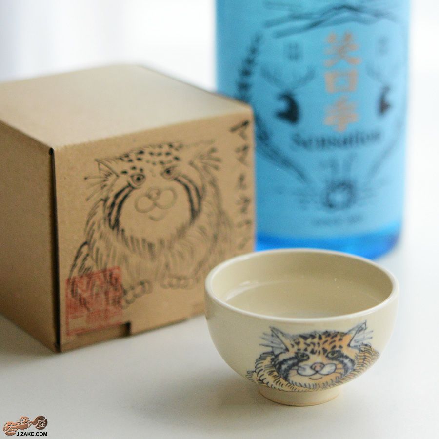 【箱入】永野健二　マヌルネコ　ぐい呑み