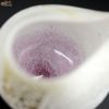 SUN GLASS STUDIO KYOTO 【箱入】風のしらべ　雪いちご　片口
