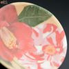 【箱入】高橋由紀子　椿　盃