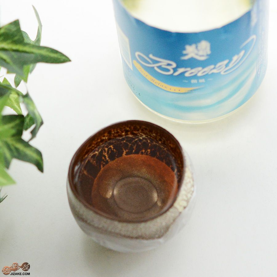 SUN GLASS STUDIO KYOTO 【箱入】風のしらべ　光琳　酒盃