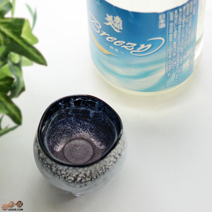 SUN GLASS STUDIO KYOTO 【箱入】風のしらべ　夜叉　酒盃