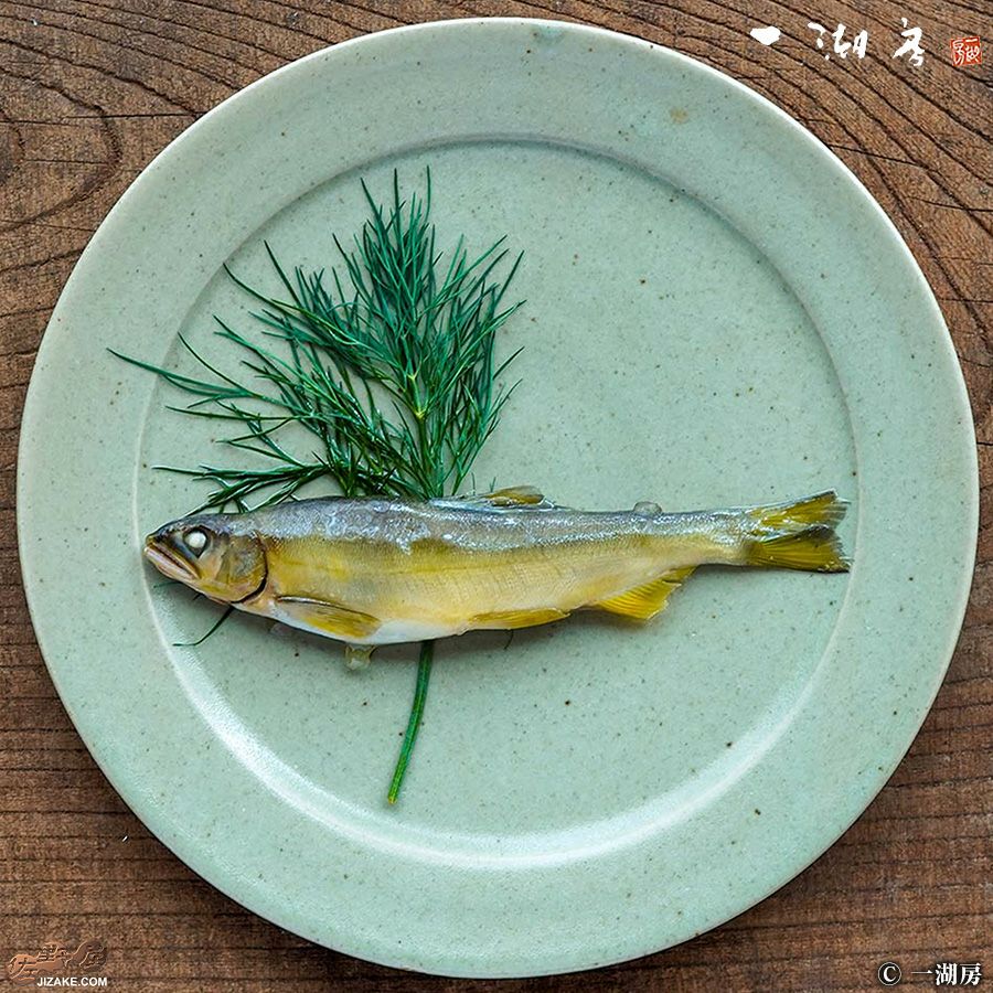 一湖房　あゆのコンフィ　1匹