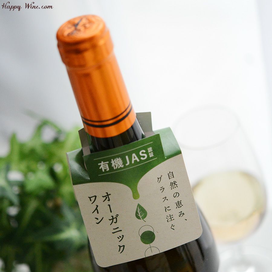 ドミニオ・デ・プンクトゥン　ベインテミル レグアス(オレンジ)